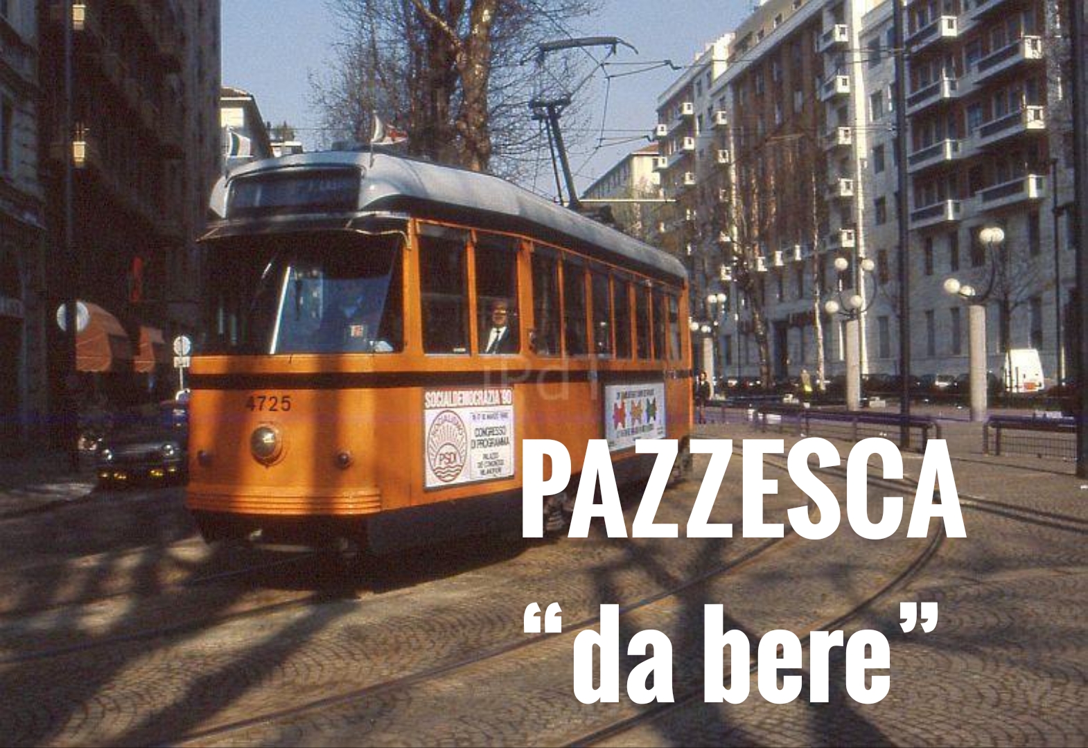depaolis.jpg